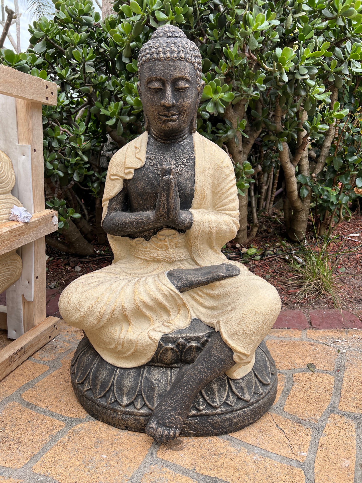 Sitting Praying Buddha