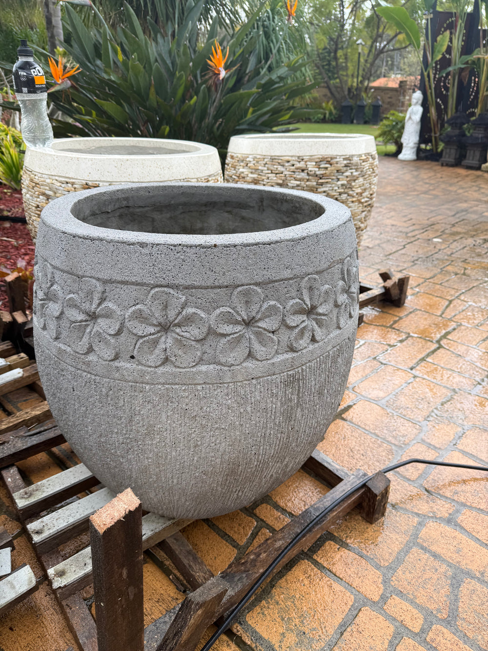 Frangipani Concrete Pot