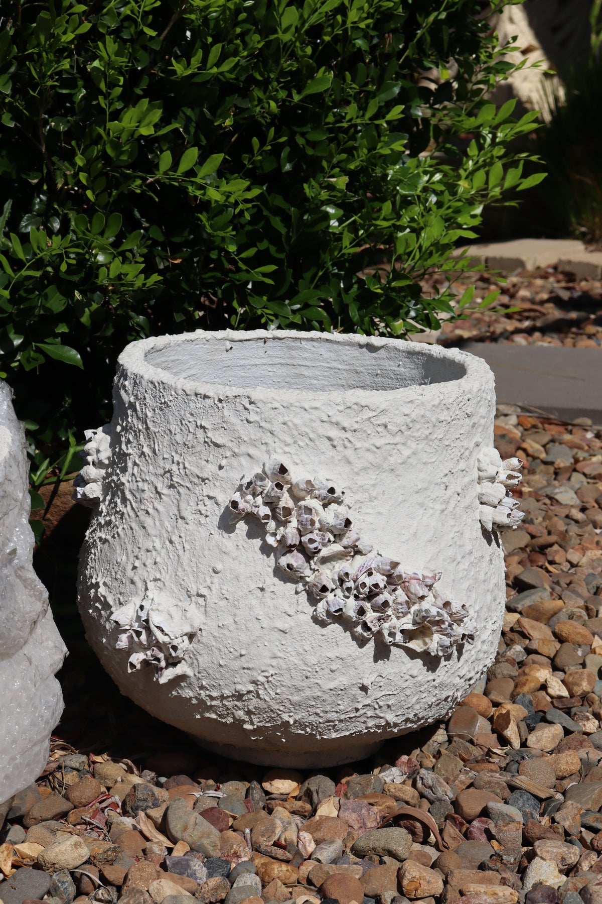 Peracles Pot Barnacle Pot Small – Palms of Bali
