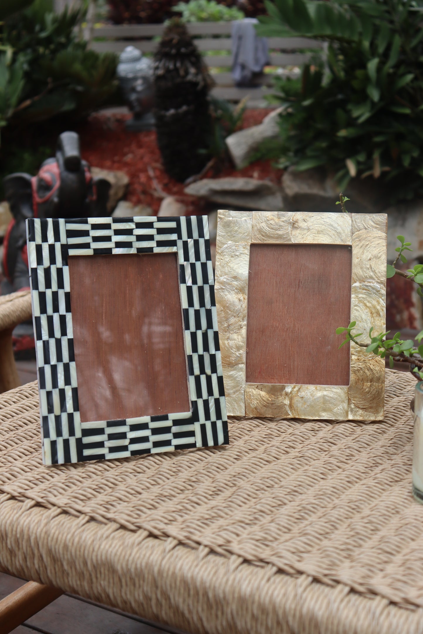 Shell Photoframe - Medium