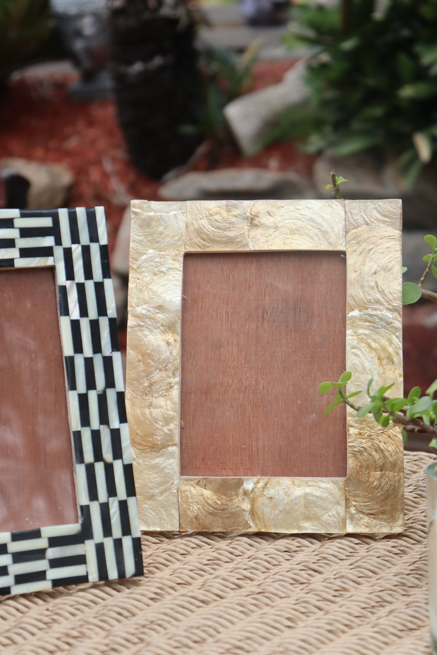 Shell Photoframe - Medium