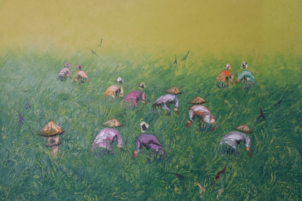 Green Rice Fields
