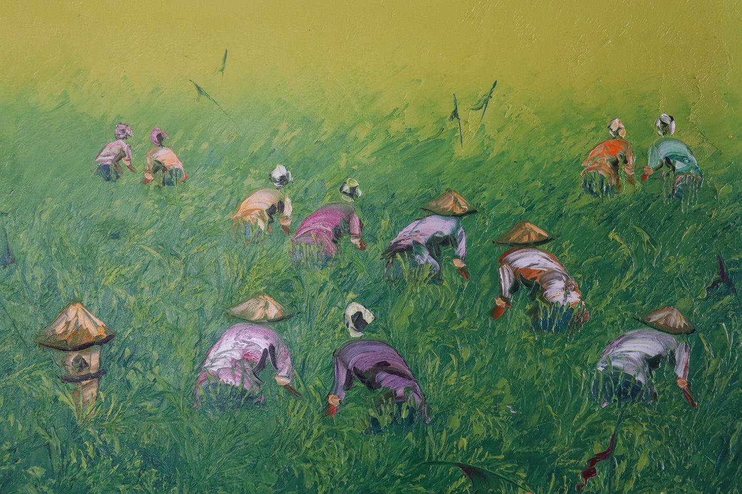 Green Rice Fields