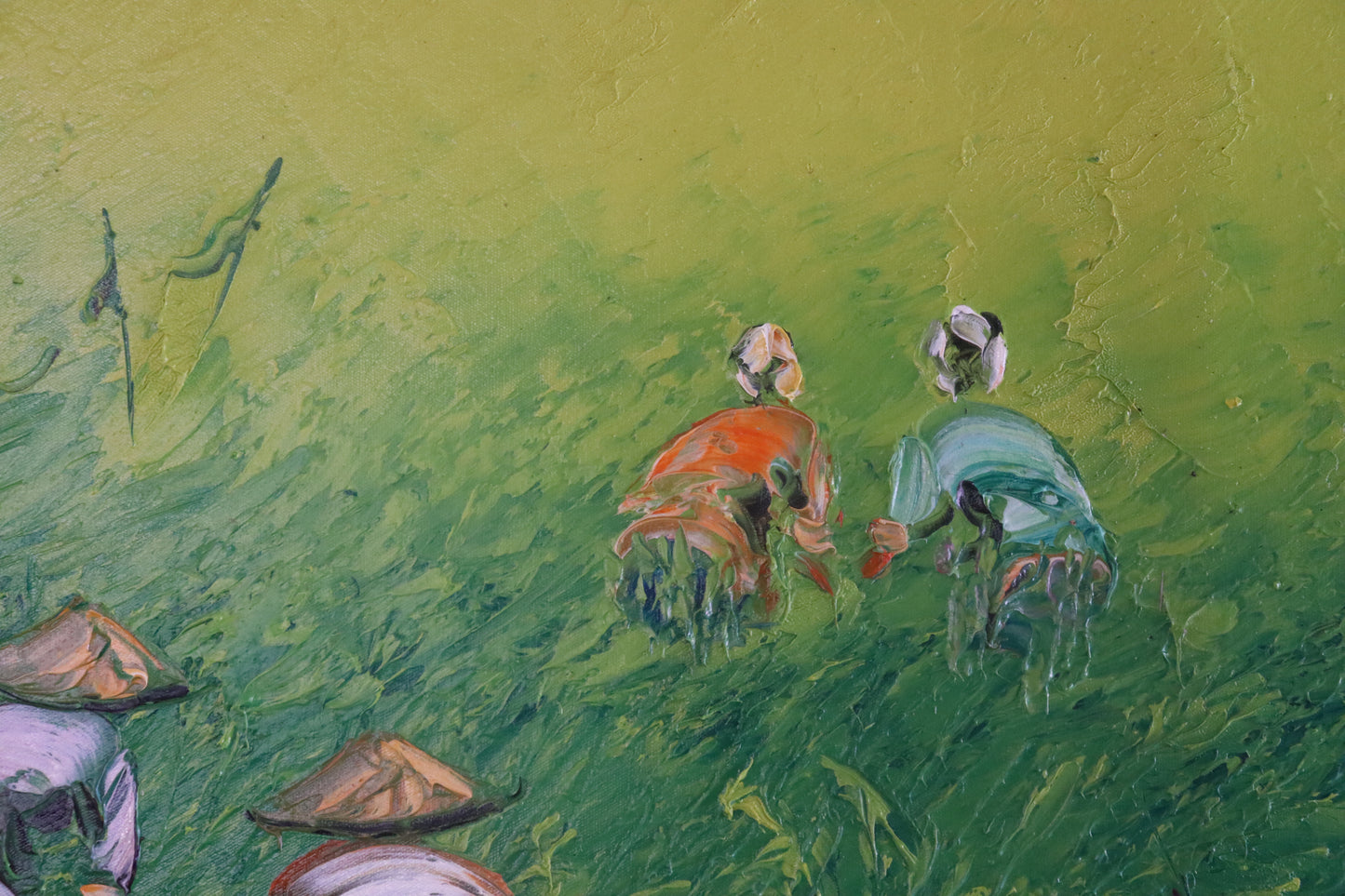Green Rice Fields