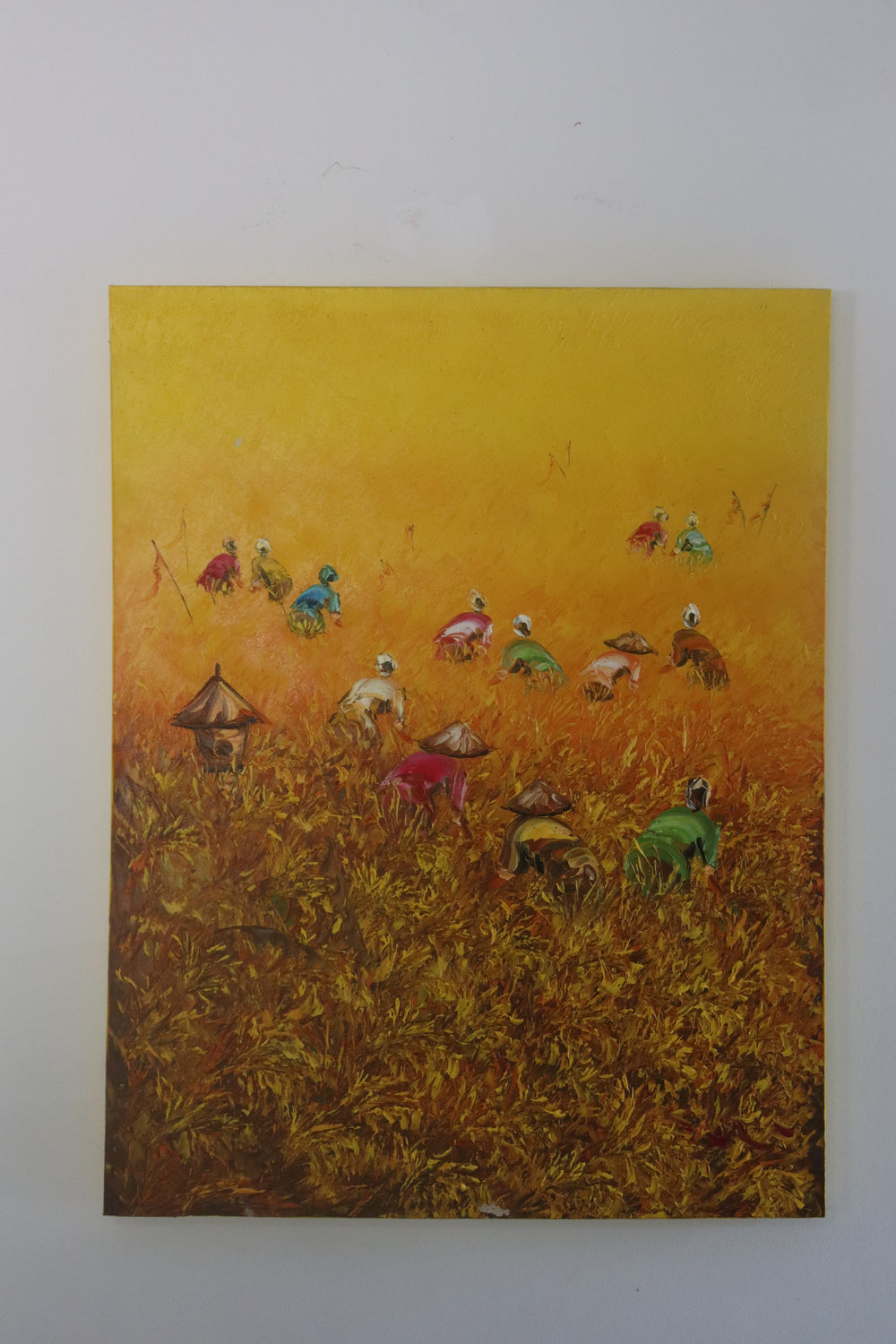 Yellow Rice Fields