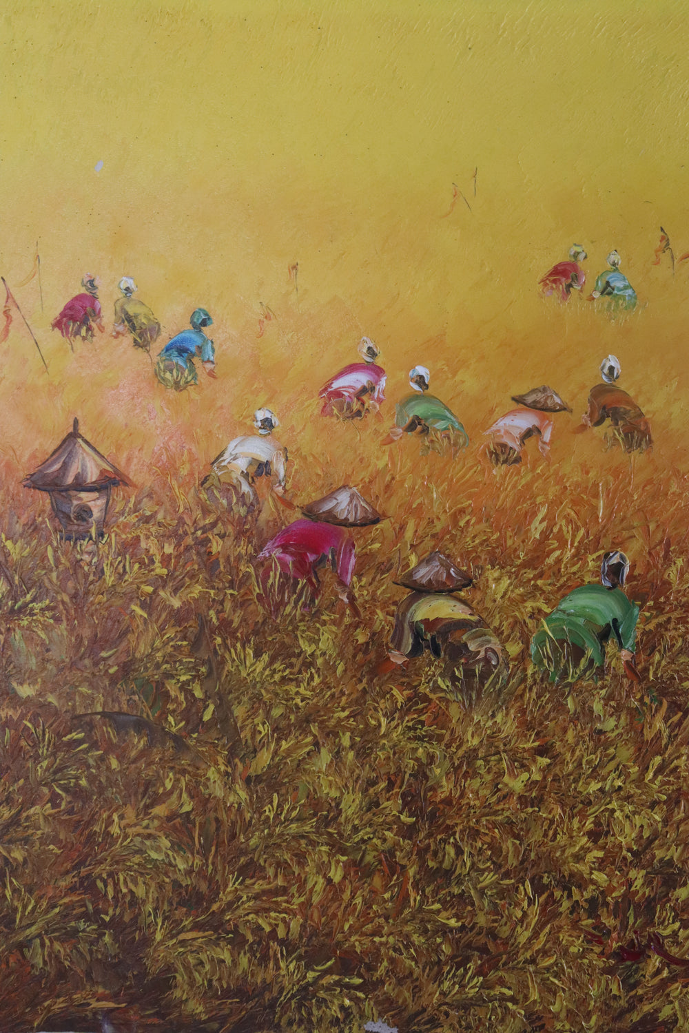 Yellow Rice Fields