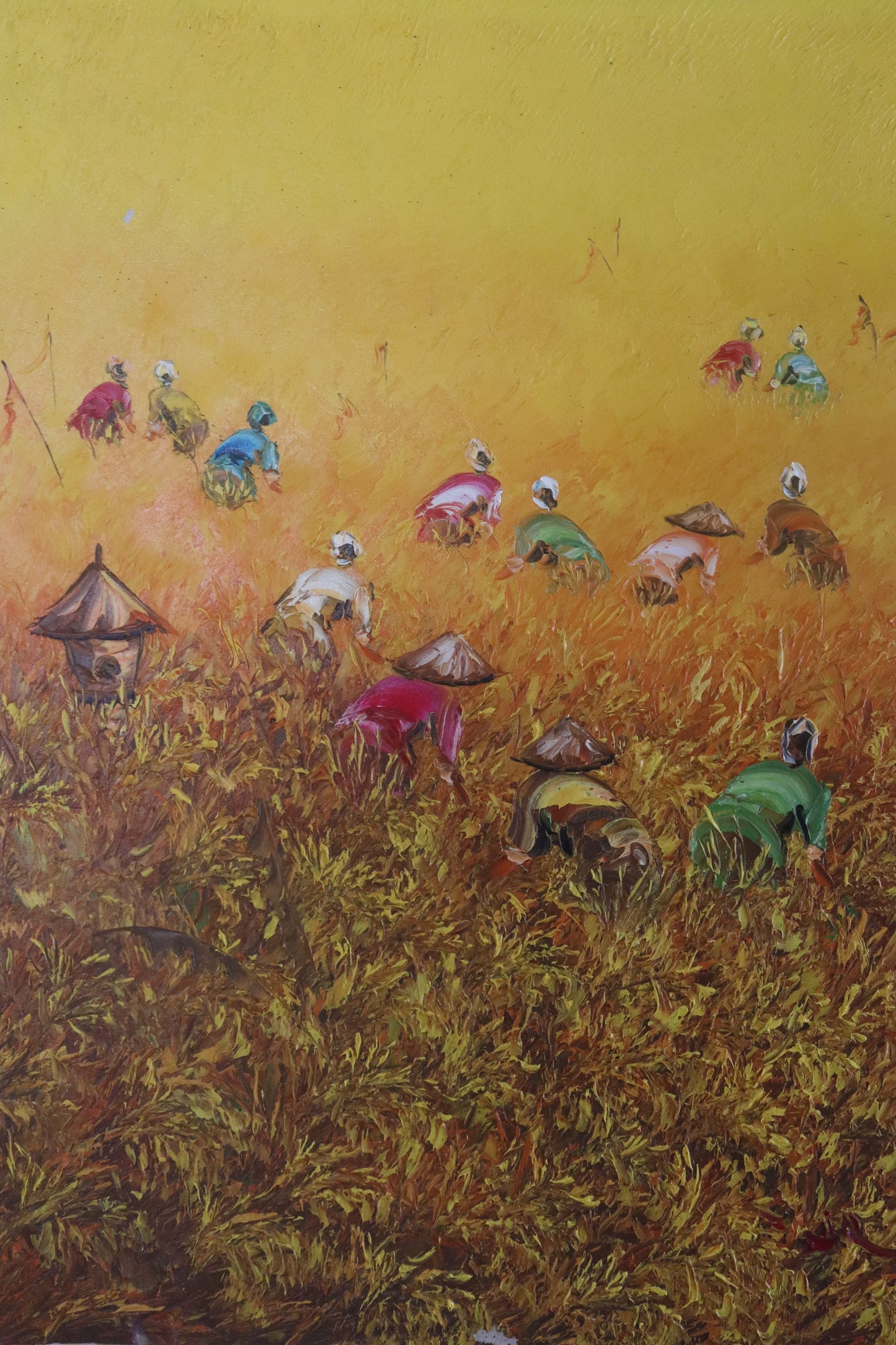 Yellow Rice Fields