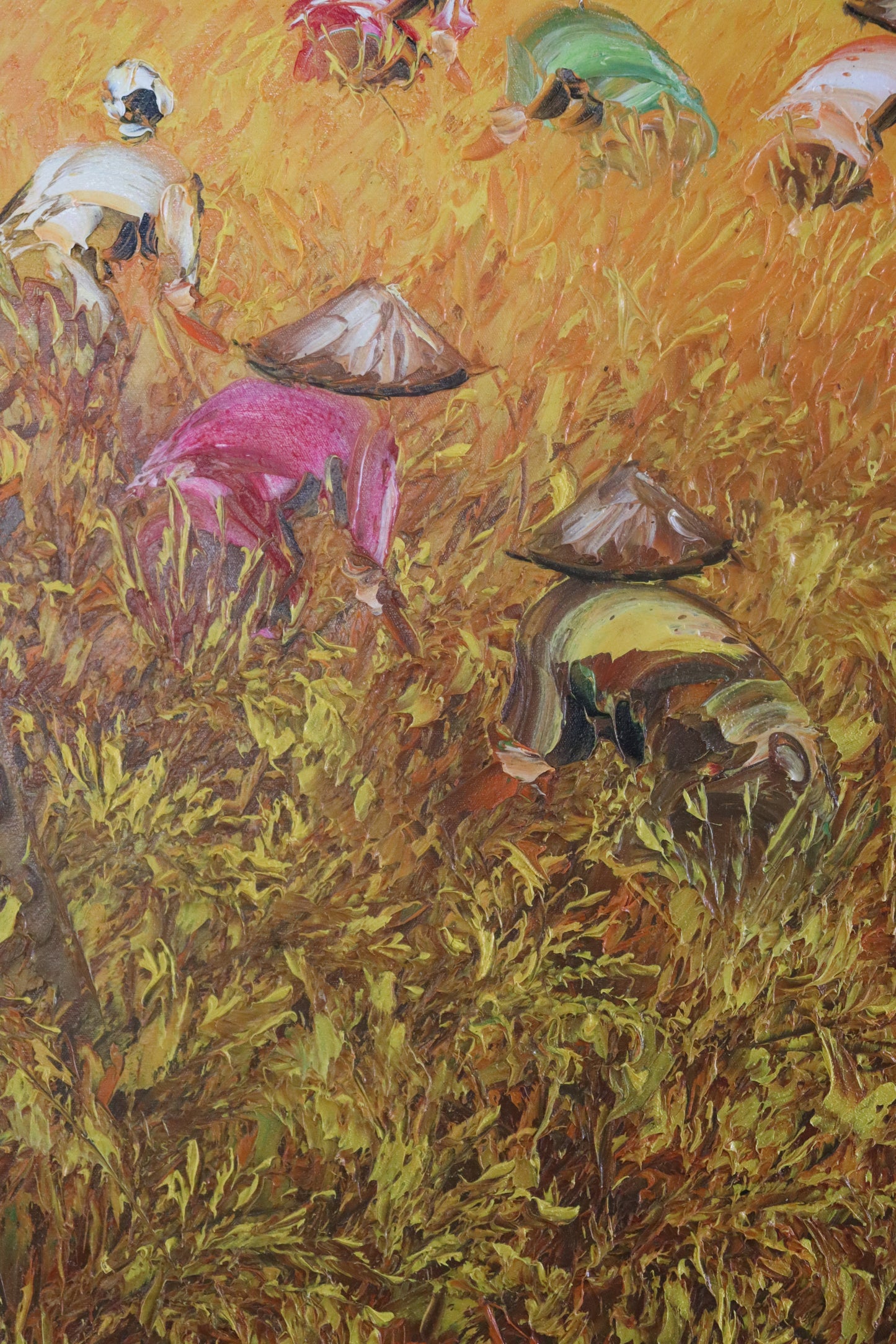 Yellow Rice Fields