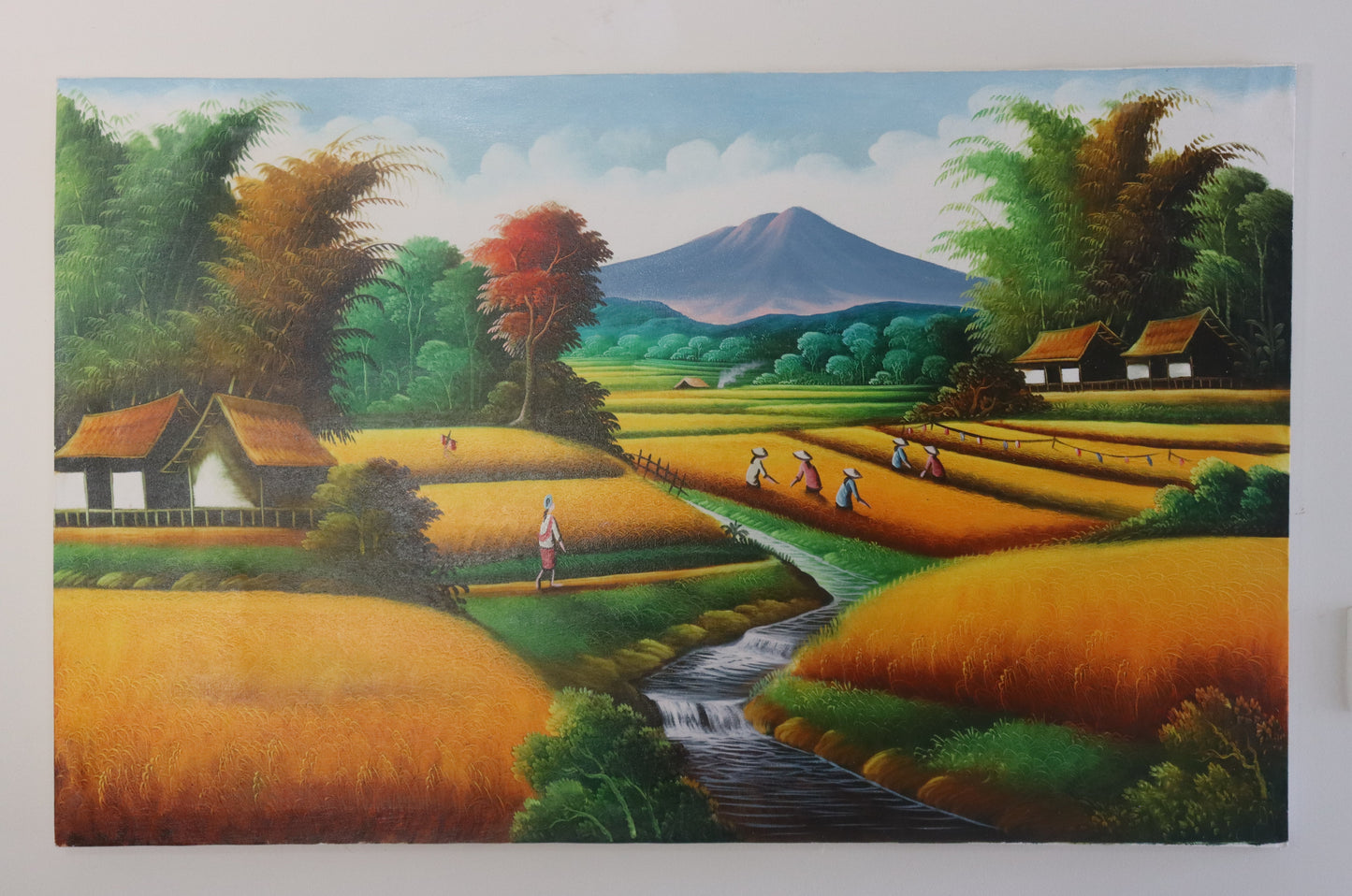 Rice Fields in Mountains