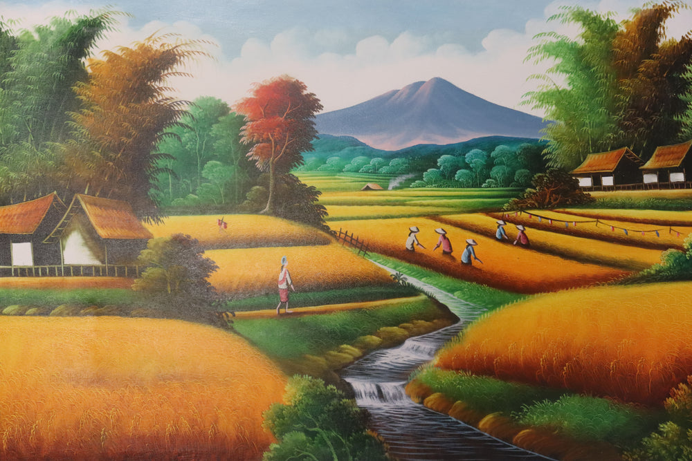 Rice Fields in Mountains