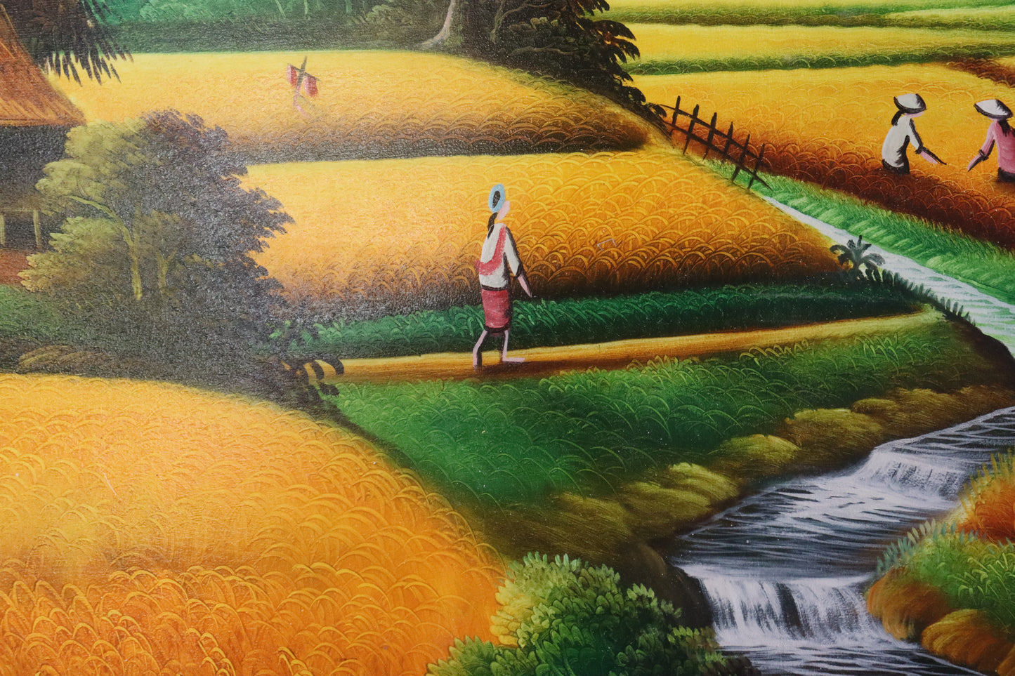 Rice Fields in Mountains