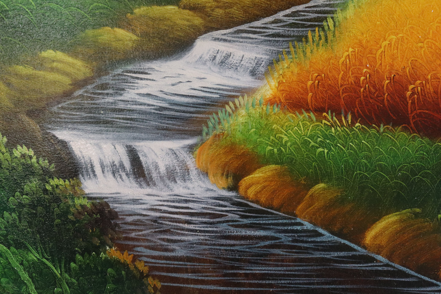 Rice Fields in Mountains