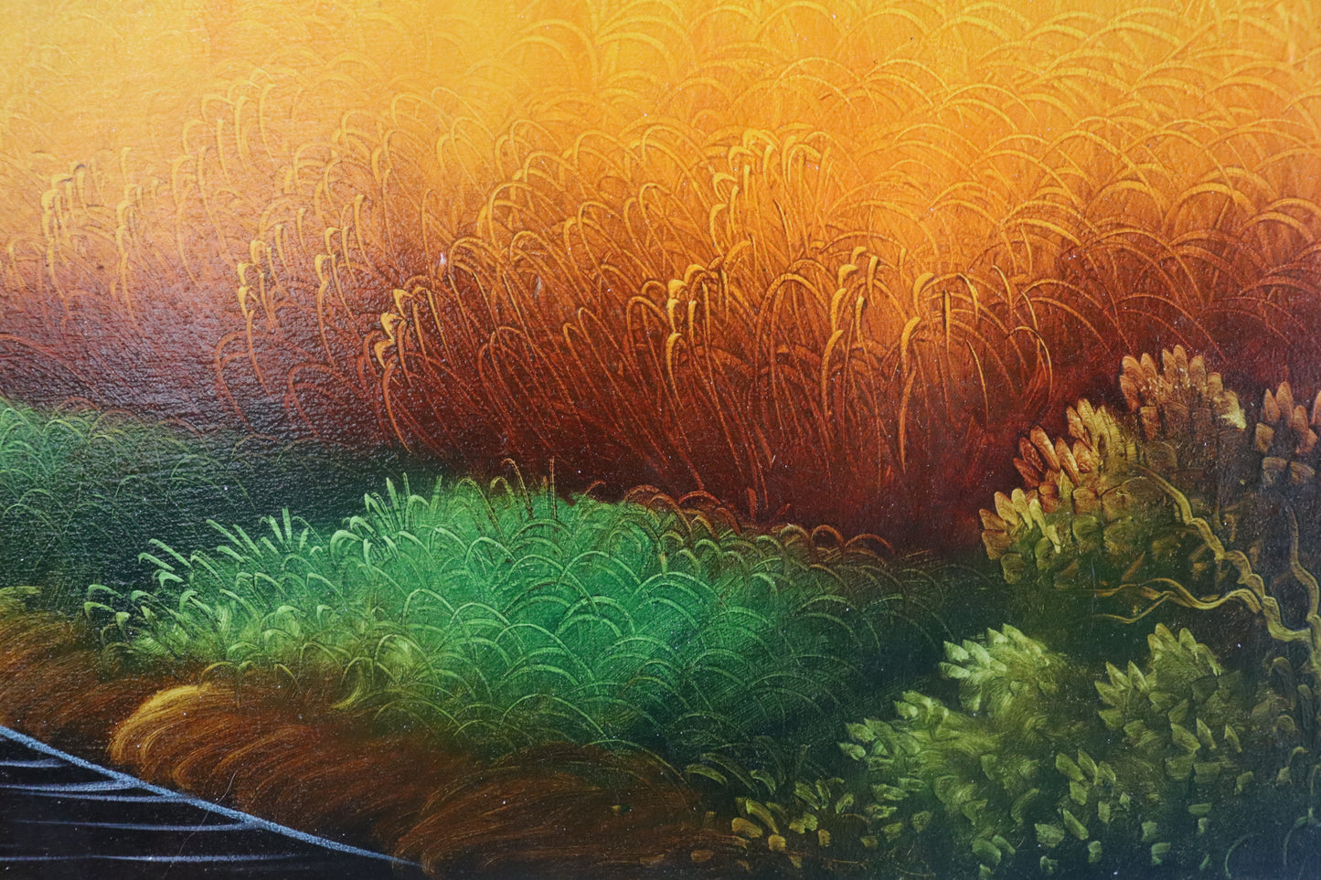 Rice Fields in Mountains