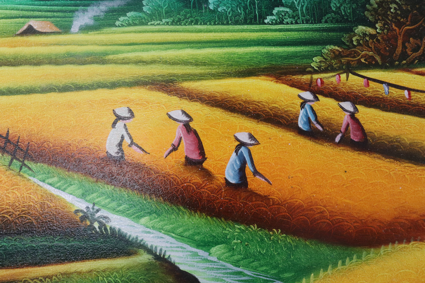 Rice Fields in Mountains