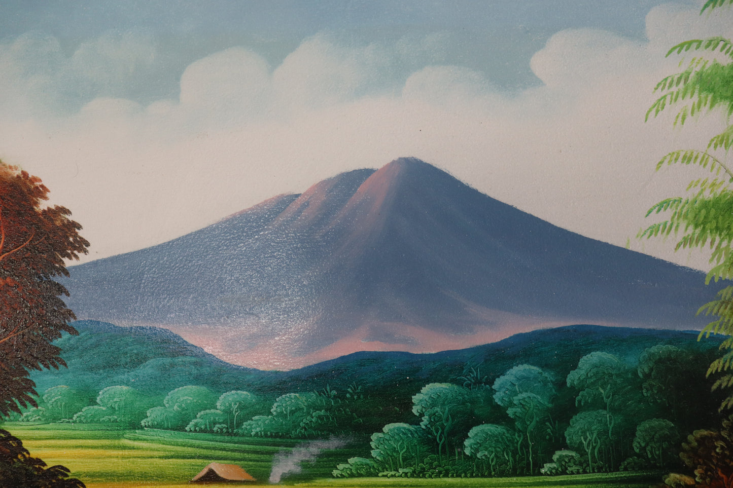 Rice Fields in Mountains