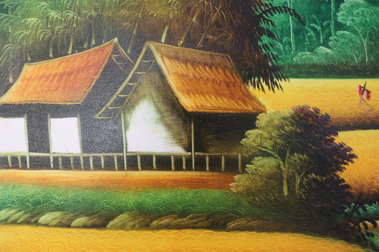 Rice Fields in Mountains