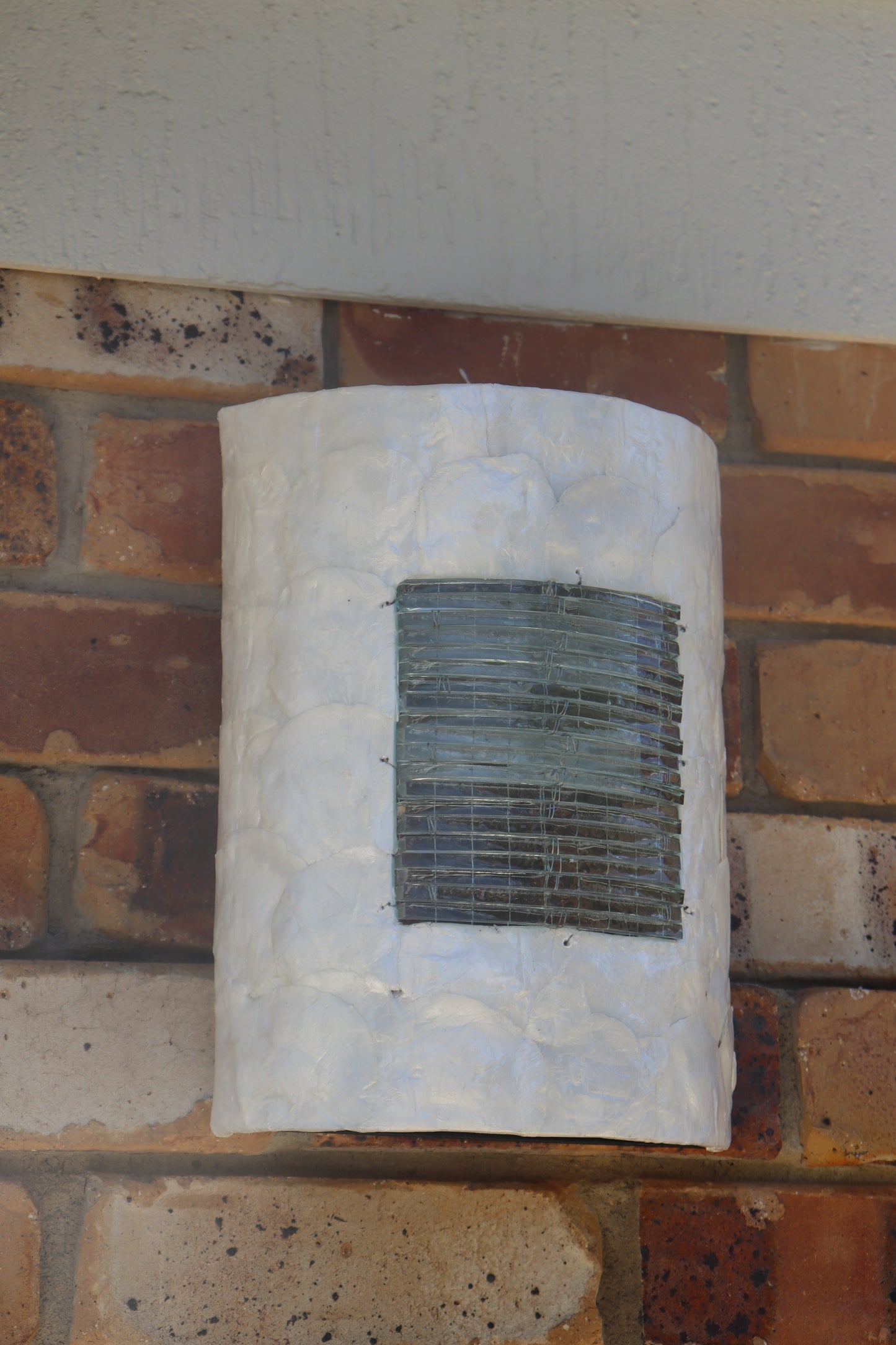 Shell Wall Lamp